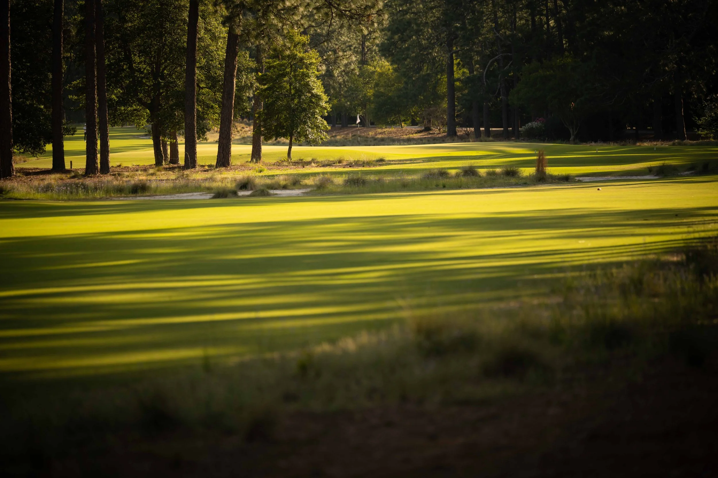 Pinehurst No. 2 — PJKoenig Golf Photography